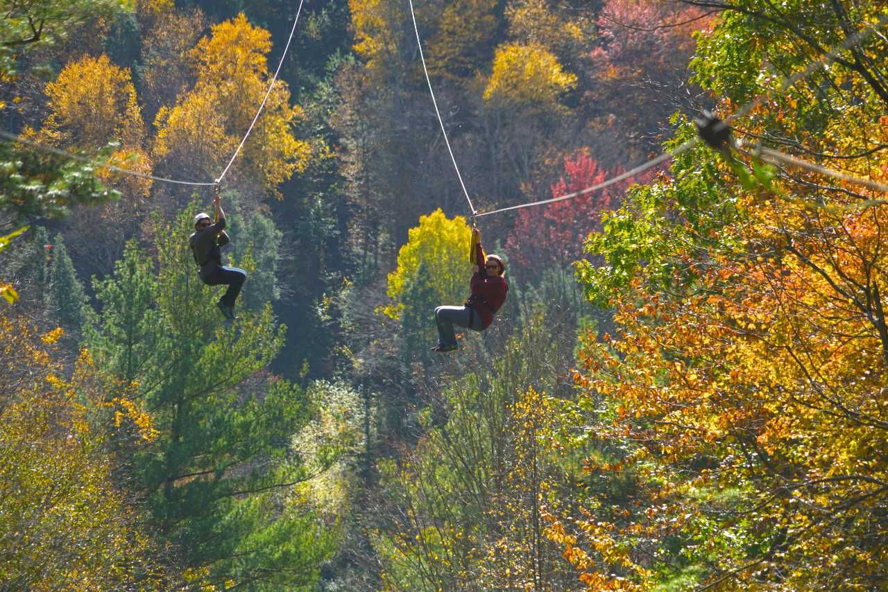 Zipline 18 1 1