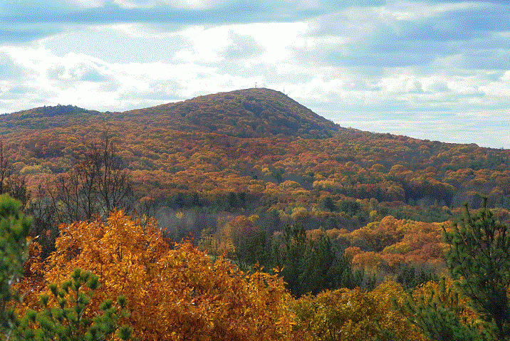 Foliage From Sachems Head Paul Franz Photo
