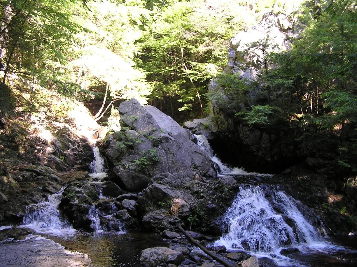 Bears Den