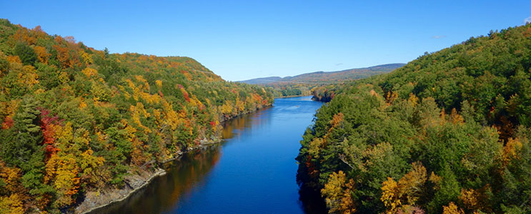 Tourism Driving Tours